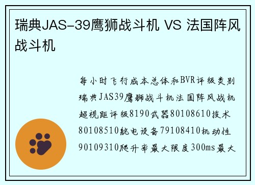 瑞典JAS-39鹰狮战斗机 VS 法国阵风战斗机