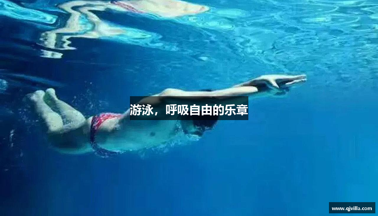龙8头号玩家官网游泳，呼吸自由的乐章